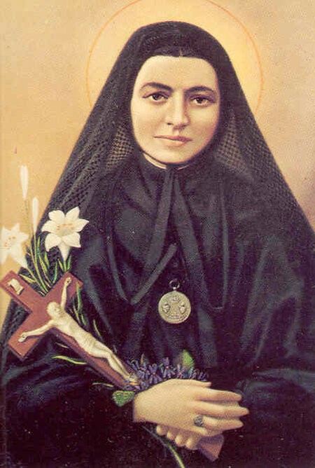 Santa Maria Bertilla Boscardin: serva de todos